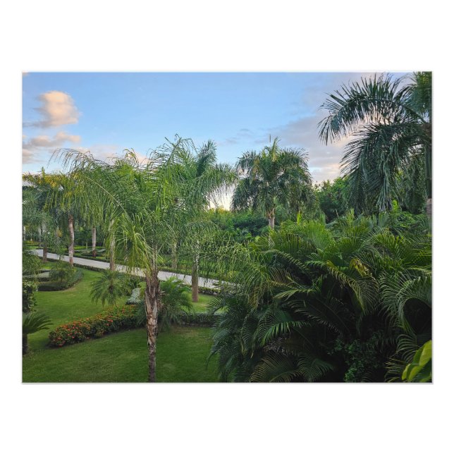 Palm tree photo enlargement print (Front)