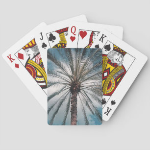 Palm tree playing cards