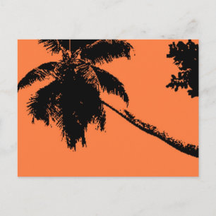 Palm Tree Postcard