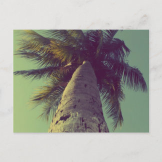 Palm Tree Postcard