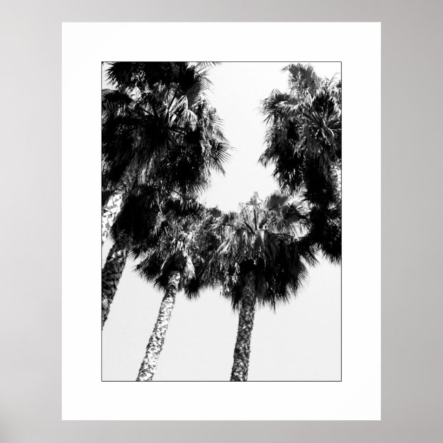 Palm Tree Poster (Front)