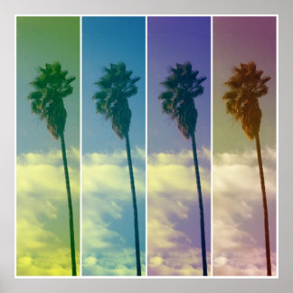 Palm Tree Poster