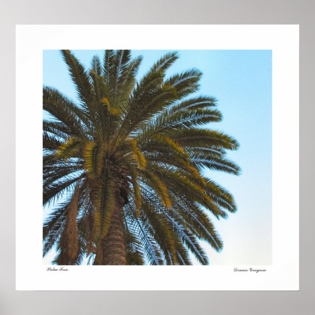 Palm Tree Poster Print (Front)