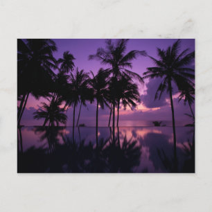 Palm Tree Reflection Postcard