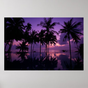 Palm Tree Reflection Poster