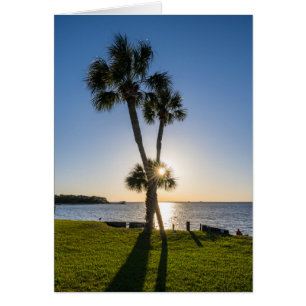 Palm Tree Scissors Silhouette Greeting Card