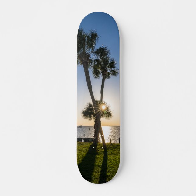 Palm Tree Scissors Silhouette Skateboard (Front)