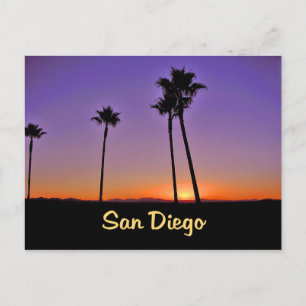 Palm Tree Silhouette In San Diego Postcard