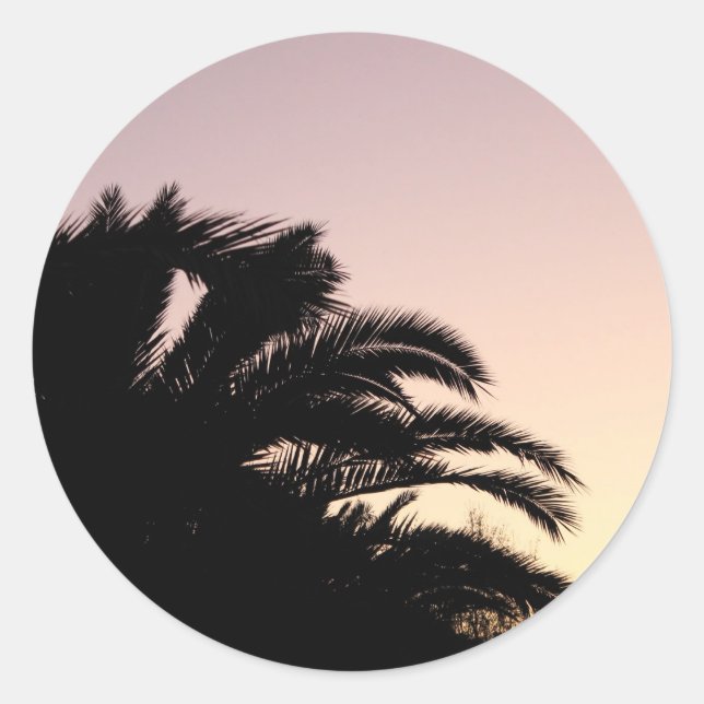 Palm Tree Sunset #2 Classic Round Sticker (Front)