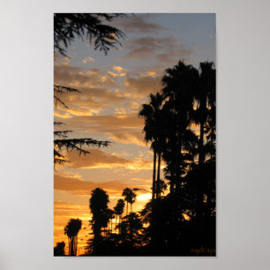Palm Tree Sunset Los Angeles Poster
