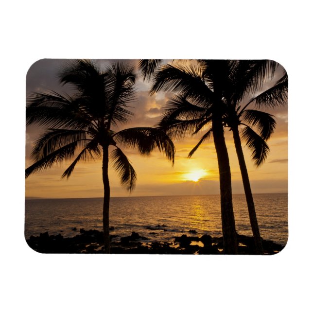 Palm tree sunset magnet (Horizontal)