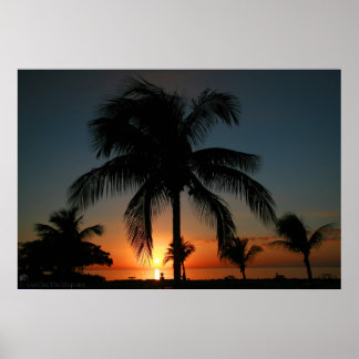 Palm Tree Sunset Poster