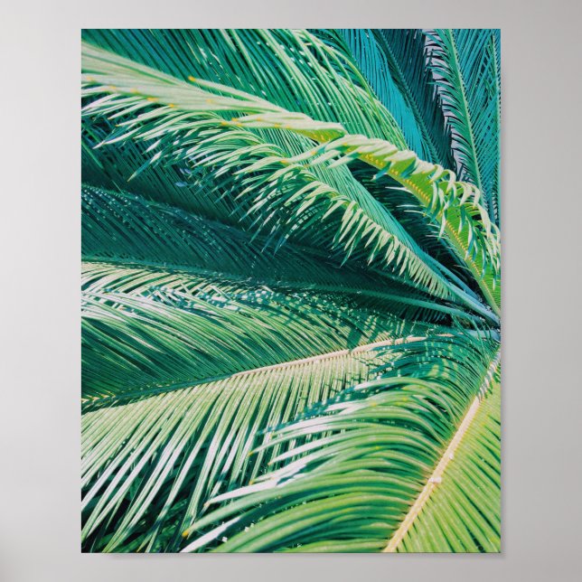 Palm Tree Tropical Beach Photograph Print (Front)