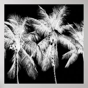 Palm tree tropical summer hawaii black and white poster