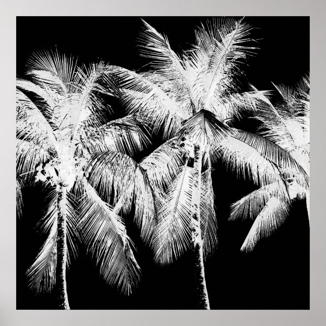 Palm tree tropical summer hawaii black and white poster (Front)