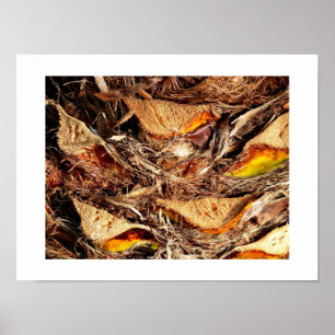 Palm tree trunk poster