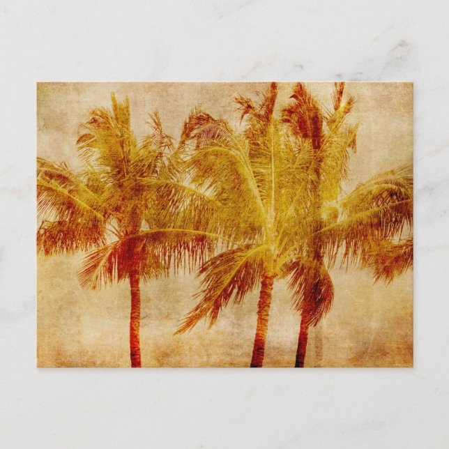 Palm Tree Vintage        Postcard (Front)