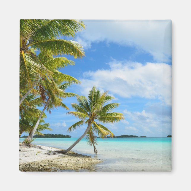Palm tree white sand beach magnet (Front)