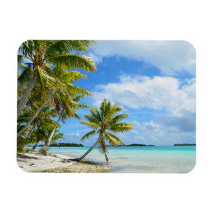 Palm tree white sand beach rectangular magnet