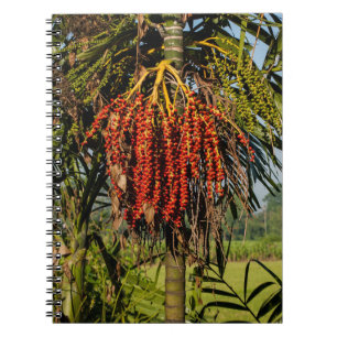 Palm tree with Fruit in the rice field - Notebook
