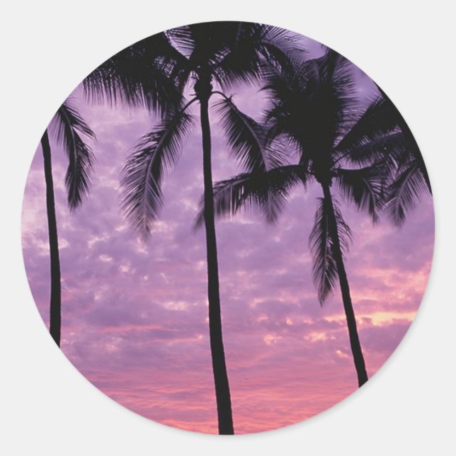 Palm Trees Against Sky Classic Round Sticker (Front)