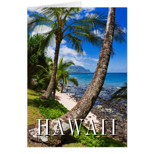 Palm Trees Along Hideaways Beach (Front)
