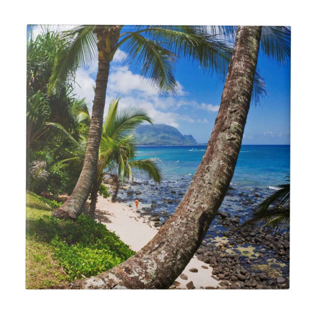 Palm Trees Along Hideaways Beach Ceramic Tile (Front)