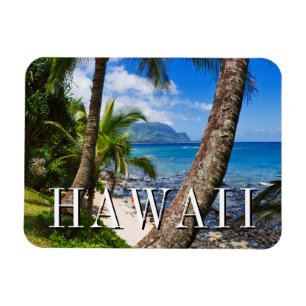 Palm Trees Along Hideaways Beach Magnet