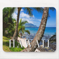 Palm Trees Along Hideaways Beach