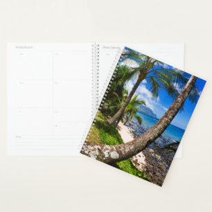 Palm Trees Along Hideaways Beach Planner