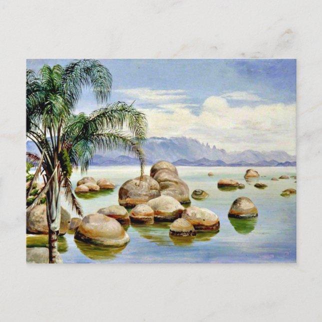 Palm Trees and Boulders in the Bay of Rio, Brazil Postcard (Front)