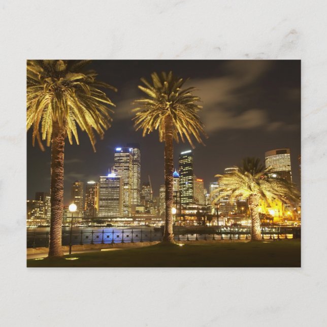 Palm Trees and CBD at Night, Sydney, New South Postcard (Front)