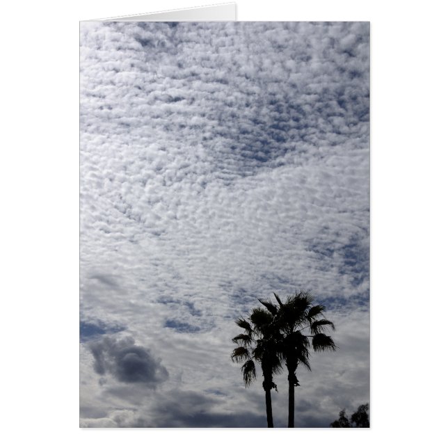 Palm Trees and Clouds (Front)
