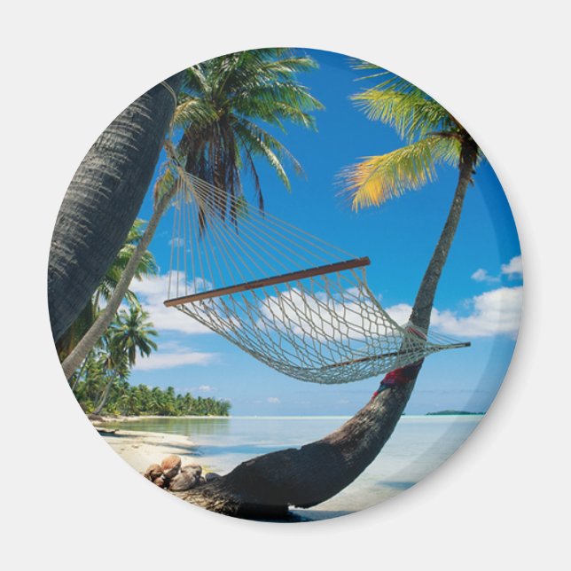 Palm Trees and Hammock Magnet (Front)