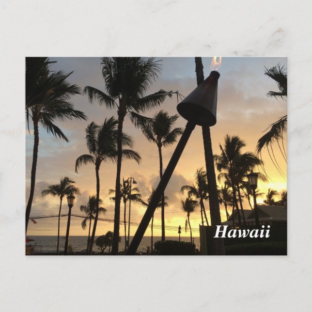 Palm Trees and Hawaiian Sunset Postcard (Front)