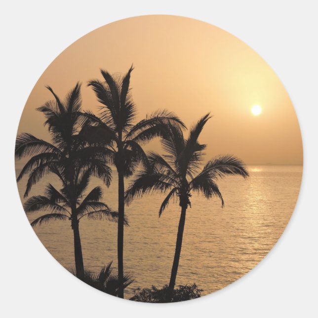 Palm Trees and Romantic Sunset Classic Round Sticker (Front)