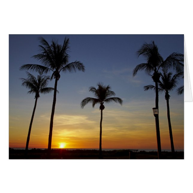Palm trees and sunset, Mindil Beach (Front Horizontal)