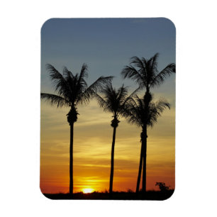 Palm trees and sunset, Mindil Beach, Darwin Magnet