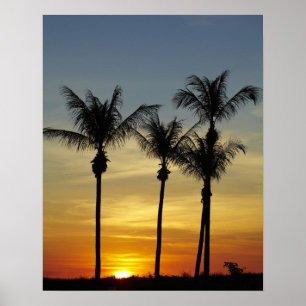 Palm trees and sunset, Mindil Beach, Darwin Poster