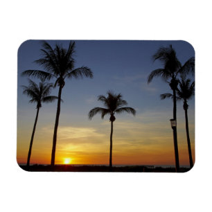 Palm trees and sunset, Mindil Beach Magnet
