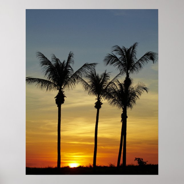 Palm trees and sunset, Mindil Beach Poster (Front)
