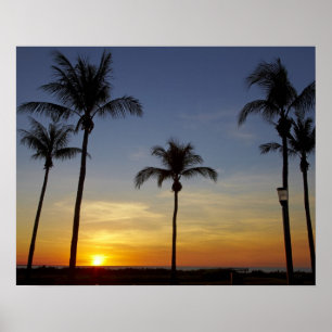 Palm trees and sunset, Mindil Beach Poster
