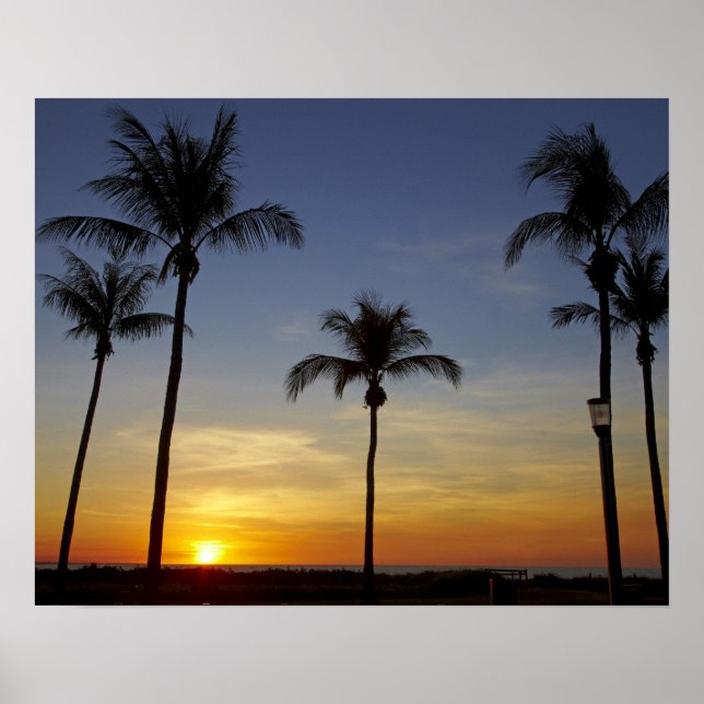 Palm trees and sunset, Mindil Beach Poster (Front)
