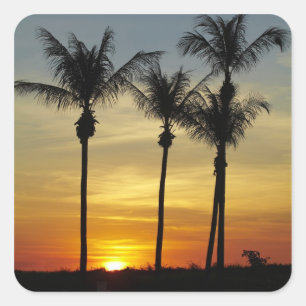 Palm trees and sunset, Mindil Beach Square Sticker