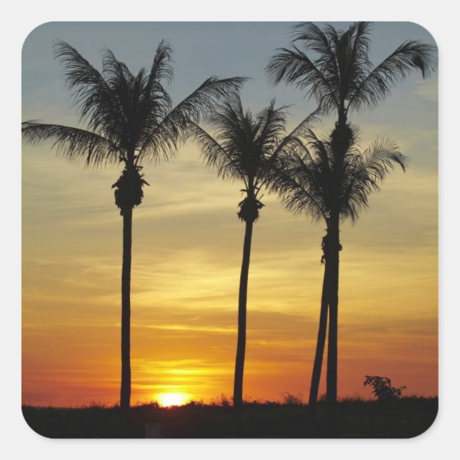 Palm trees and sunset, Mindil Beach Square Sticker (Front)