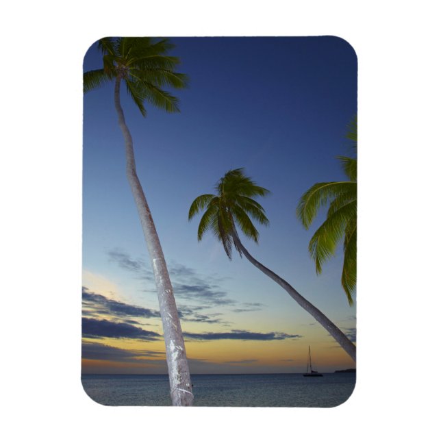 Palm trees and sunset, Plantation Island Resort Magnet (Vertical)