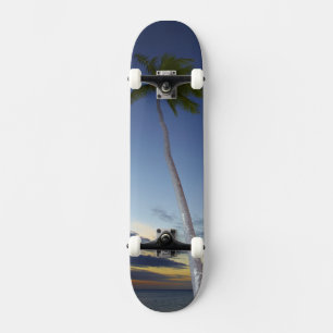 Palm trees and sunset, Plantation Island Resort Skateboard