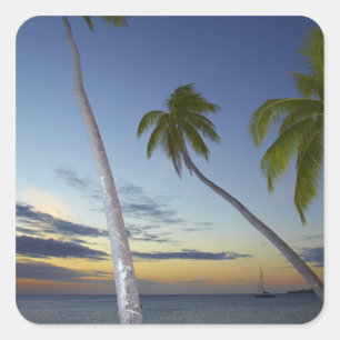 Palm trees and sunset, Plantation Island Resort Square Sticker