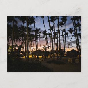 Palm trees and sunset postcard