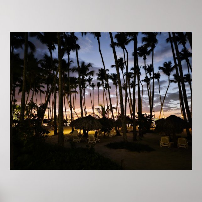 Palm trees and sunset poster (Front)